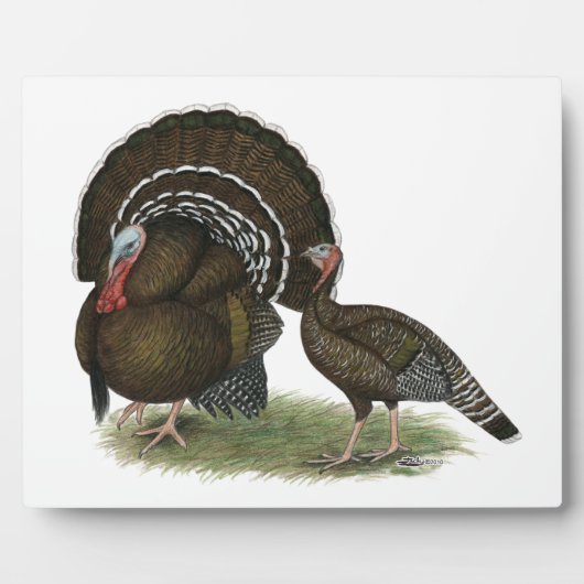 トルコ標準青銅 フォトプラーク (正面)