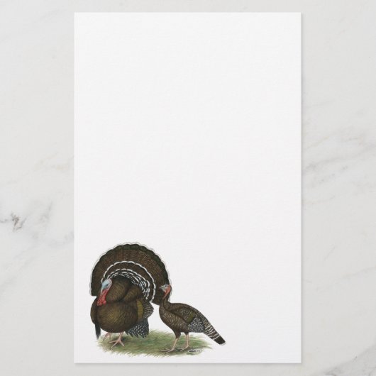 トルコ標準青銅 便箋 (正面)