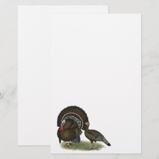 トルコ標準青銅 便箋 (正面/裏面)