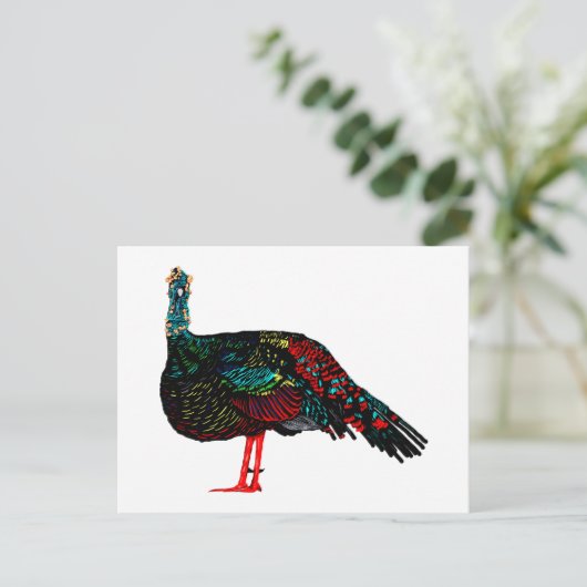 トルコ注視 ポストカード (スタンド正面)