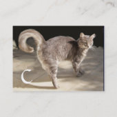 トルコ猫モノグラム 名刺 (裏面)