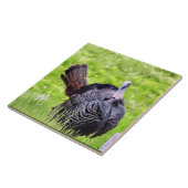 トルコ男性クローズアップ タイル (側面)