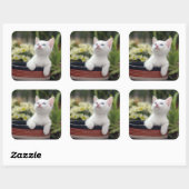 トルコ白の子猫 スクエアシール (シート)