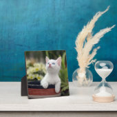 トルコ白の子猫 フォトプラーク (インサイチュ)