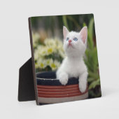 トルコ白の子猫 フォトプラーク (正面)