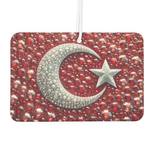 トルコ色とカーエアフレッシュデザイン カーエアーフレッシュナー (裏面)