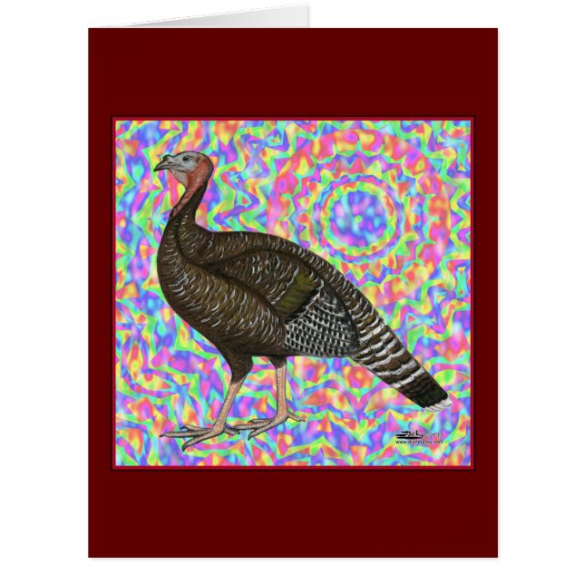 トルコ虹 (正面)