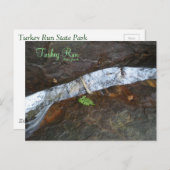 トルコ走州公園 ポストカード (正面/裏面)
