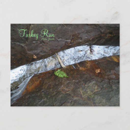 トルコ走州公園 ポストカード (正面)