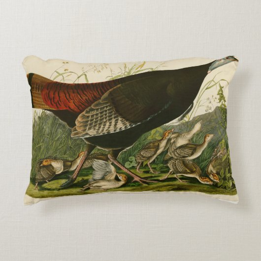 トルコ野生のオードボンバ絵画ードズ アクセントクッション (正面)