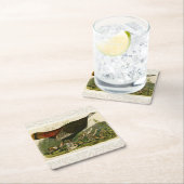 トルコ野生のオードボンバ絵画ードズ スクエアペーパーコースター (インサイチュ)