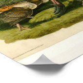 トルコ野生のオードボンバ絵画ードズ ポスター (角)