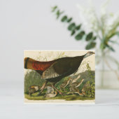 トルコ野生のオードボンバ絵画ードズ ポストカード (スタンド正面)