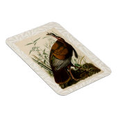 トルコ野生のオードボンバ絵画ードズ マグネット (右側)