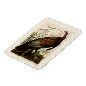 トルコ野生のオードボンバ絵画ードズ マグネット (左側)