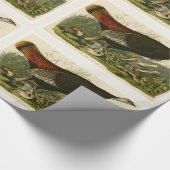 トルコ野生のオードボンバ絵画ードズ ラッピングペーパー (角)