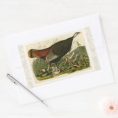 トルコ野生のオードボンバ絵画ードズ 長方形シール (封筒)