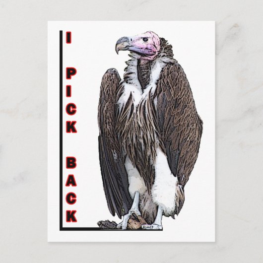 トルコ陰茎I後部後部写真を選択 ポストカード (正面)