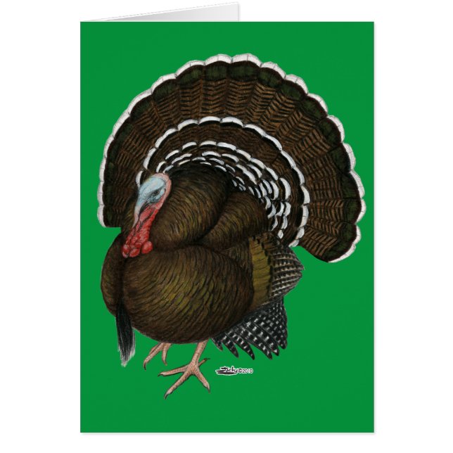 トルコ青銅トム (正面)