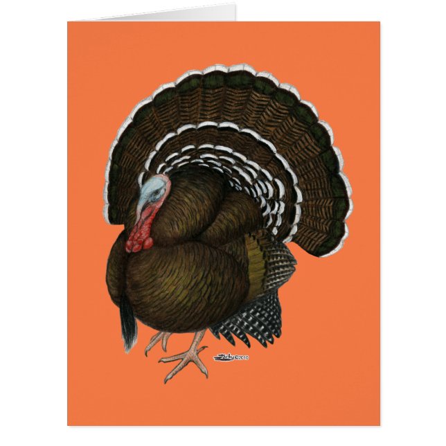 トルコ青銅トム (正面)