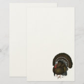 トルコ青銅トム 便箋 (正面/裏面)