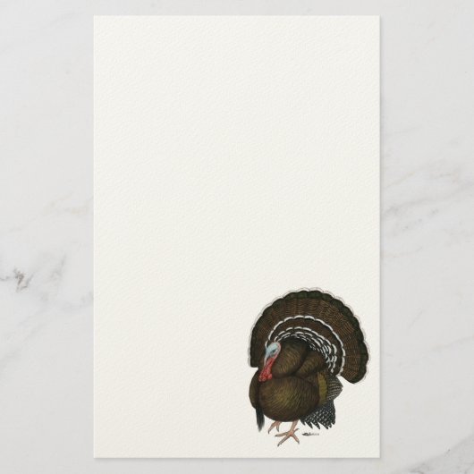 トルコ青銅トム 便箋 (正面)