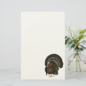 トルコ青銅トム 便箋 (スタンド正面)