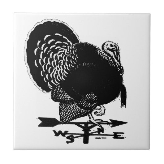 トルコ風見図 タイル (正面)