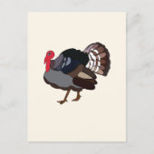トルコ鳥トルコ ポストカード (正面)