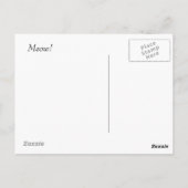 トルコ・アンゴラ・キッテンズ ポストカード (裏面)