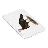 トルコ： イースタン・ワイルド・トム マグネット (右側)