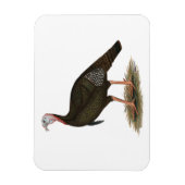 トルコ： イースタン・ワイルド・トム マグネット (縦)