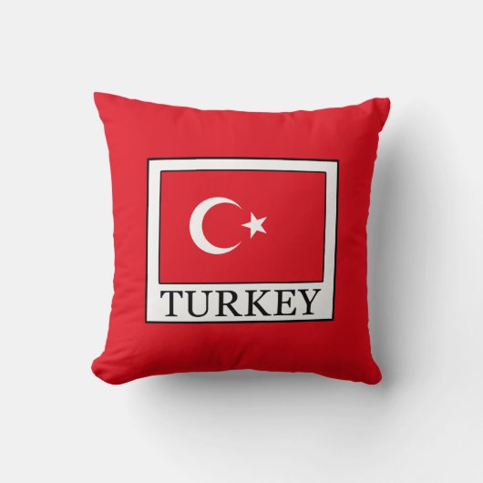 トルコ クッション (正面)