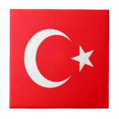 トルコ タイル (正面)