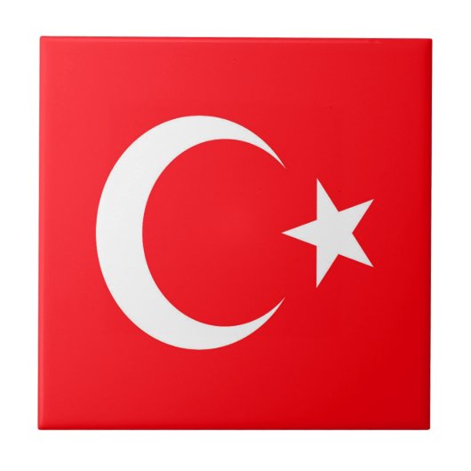 トルコ タイル (正面)