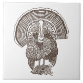 トルコ タイル (正面)