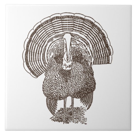 トルコ タイル (正面)