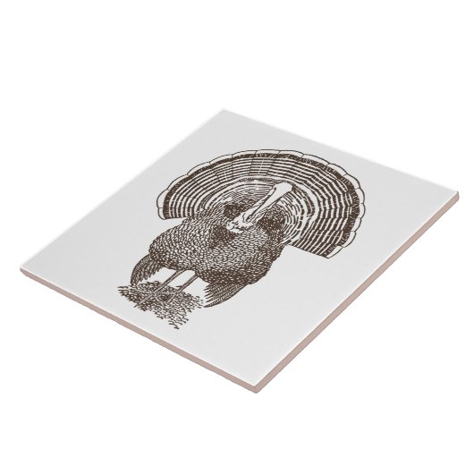 トルコ タイル (側面)