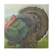 トルコ タイル (正面)