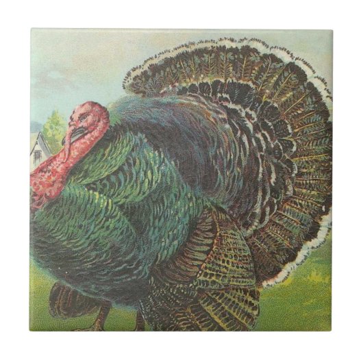 トルコ タイル (正面)