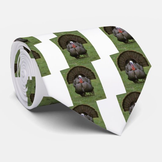 トルコ ネクタイ (ロール)