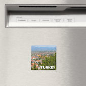 トルコ，フェティエ マグネット (インサイチュ (食洗機))