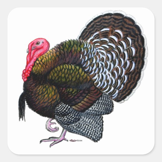 トルコ：ブロンズ・トム スクエアシール (正面)