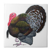 トルコ：ブロンズ・トム タイル (正面)