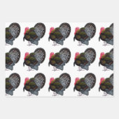 トルコ：ブロンズ・トム ラッピングペーパーシート (正面2)