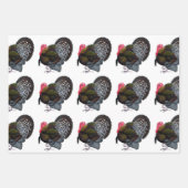 トルコ：ブロンズ・トム ラッピングペーパーシート (正面)