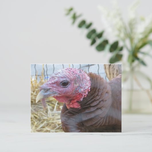 トルコ ポストカード (スタンド正面)