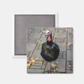 トルコ マグネット (正面/裏面)