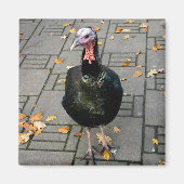 トルコ マグネット (正面)