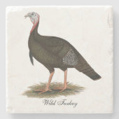 トルコ:  東の野生のトム ストーンコースター (正面)